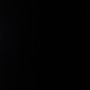 Meet your Posher, Carolina